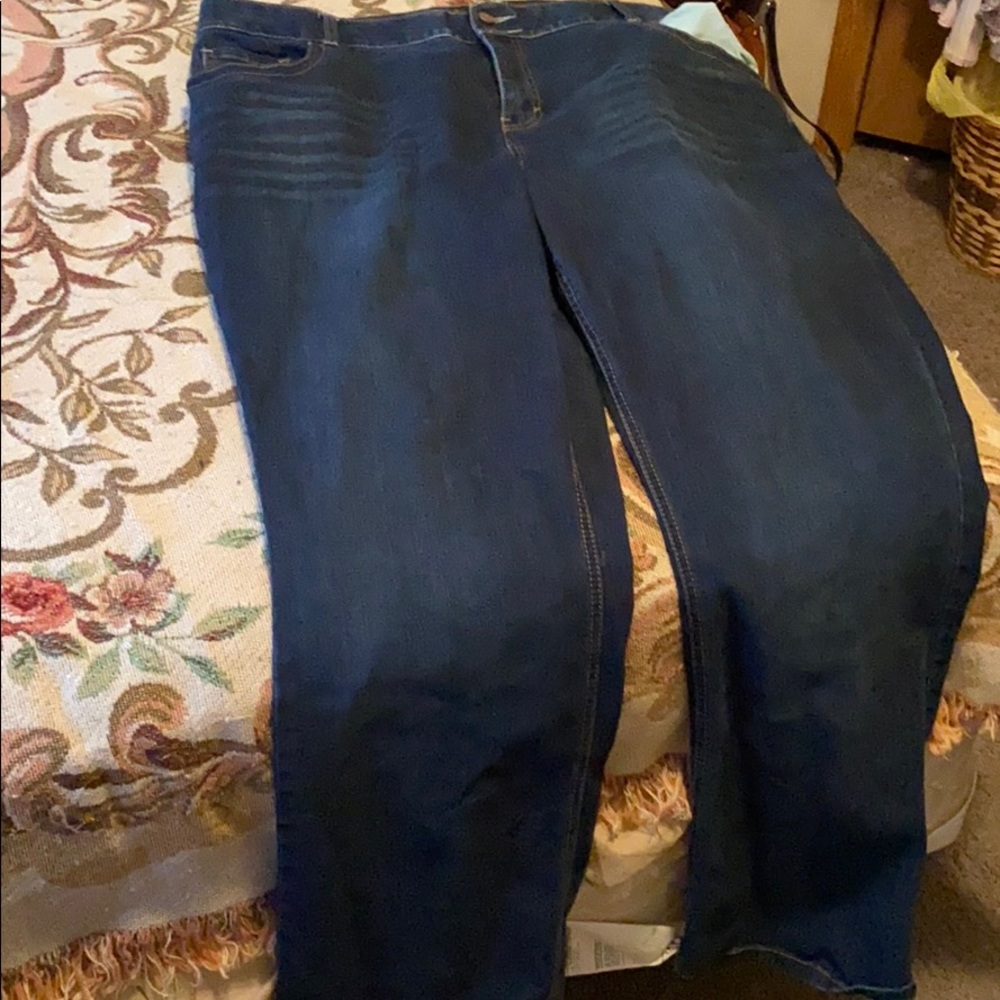 Never wore lane bryant plus size jeans